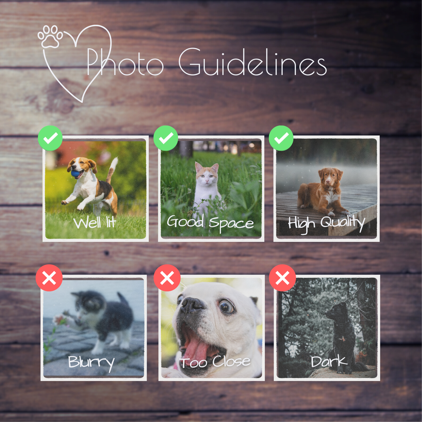 RememPaw Personalised LED Photo Lamp